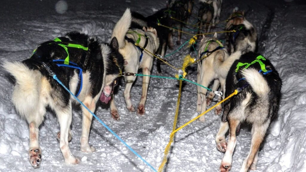 48 hours in Tromsø